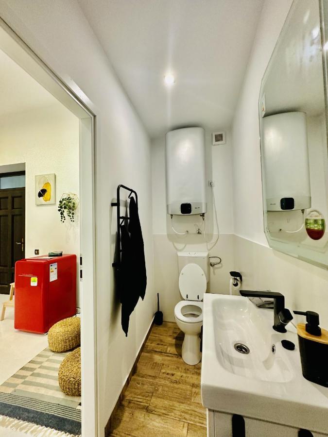 Clever Studio Near Central Shopping Center Клуж-Напока Екстериор снимка